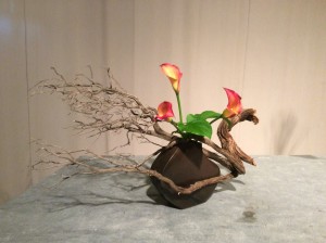 IMG_0160