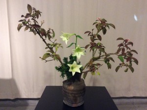 IMG_0161