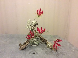IMG_0163