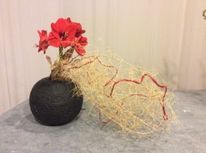 IMG_0176