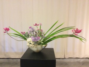 IMG_0181