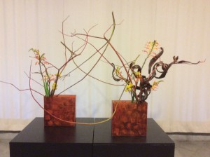 IMG_0182