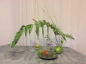 IMG_0183