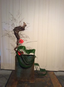IMG_0185