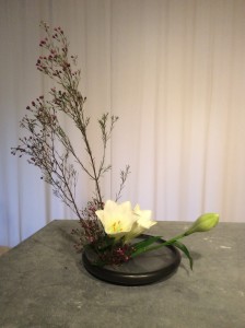IMG_0187