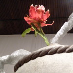 P1020663