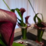P1020664