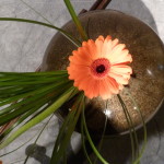 P1020666