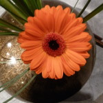 P1020667