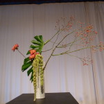 P1020682