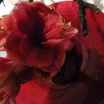 P1020687
