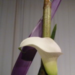 P1020695