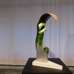 P1020703