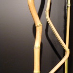 P1020705