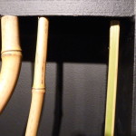 P1020706