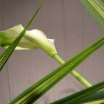 P1020719