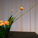 P1020721