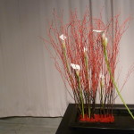 P1020723