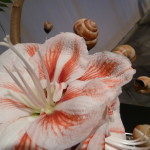 P1020735
