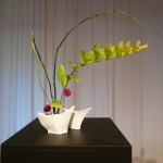 P1020745