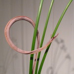 P1020755